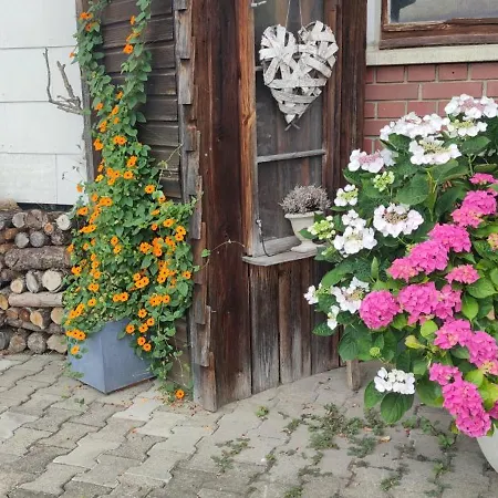 Bed & Breakfast Gaestehaus Fechtig *
